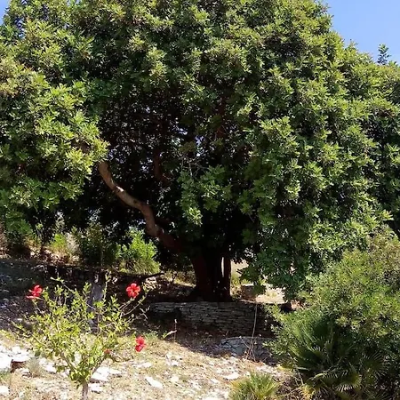 La Pedrera Rosa/the Pink Pedrera Feriehus