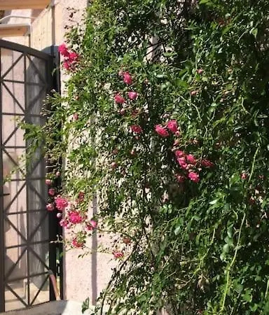 La Pedrera Rosa/the Pink Pedrera