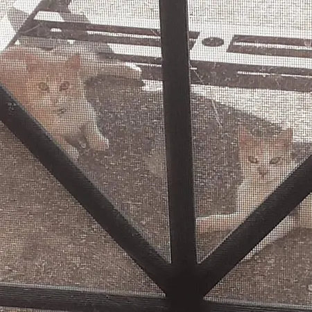 Feriehus La Pedrera Rosa/the Pink Pedrera Balata di Baida