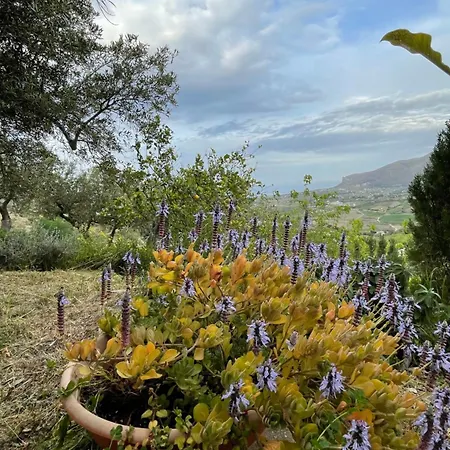 La Pedrera Rosa/the Pink Pedrera * Balata di Baida