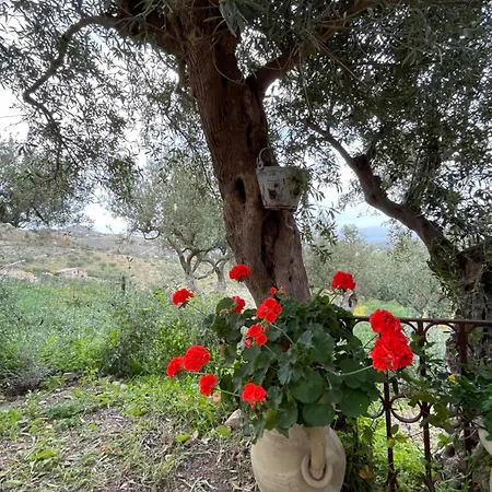 La Pedrera Rosa/the Pink Pedrera Feriehus Balata di Baida