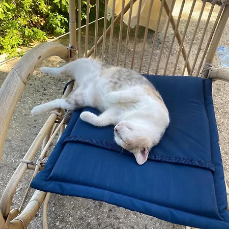La Pedrera Rosa/the Pink Pedrera Feriehus *